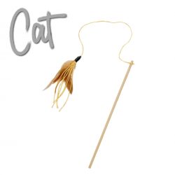 Cat Feather Teaser